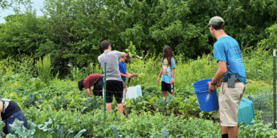 Summer Program